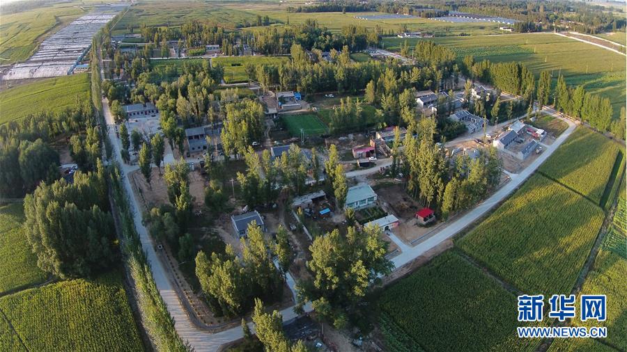 ᣩ6ʤ壺+ģʽôС