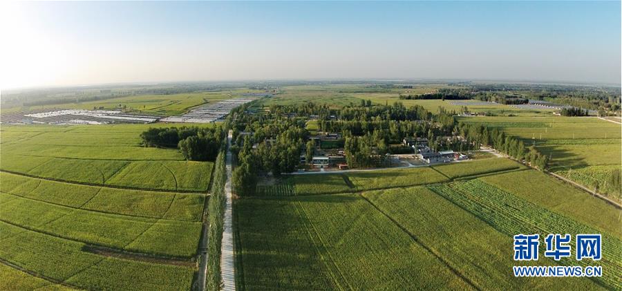 ᣩ7ʤ壺+ģʽôС