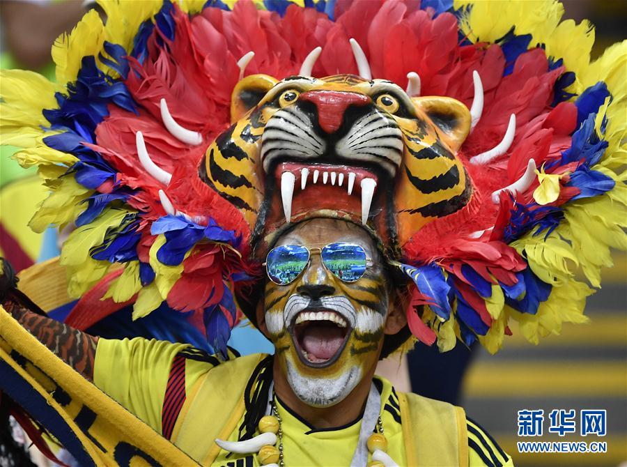 (世界杯)(4)足球——H组:感受世界杯