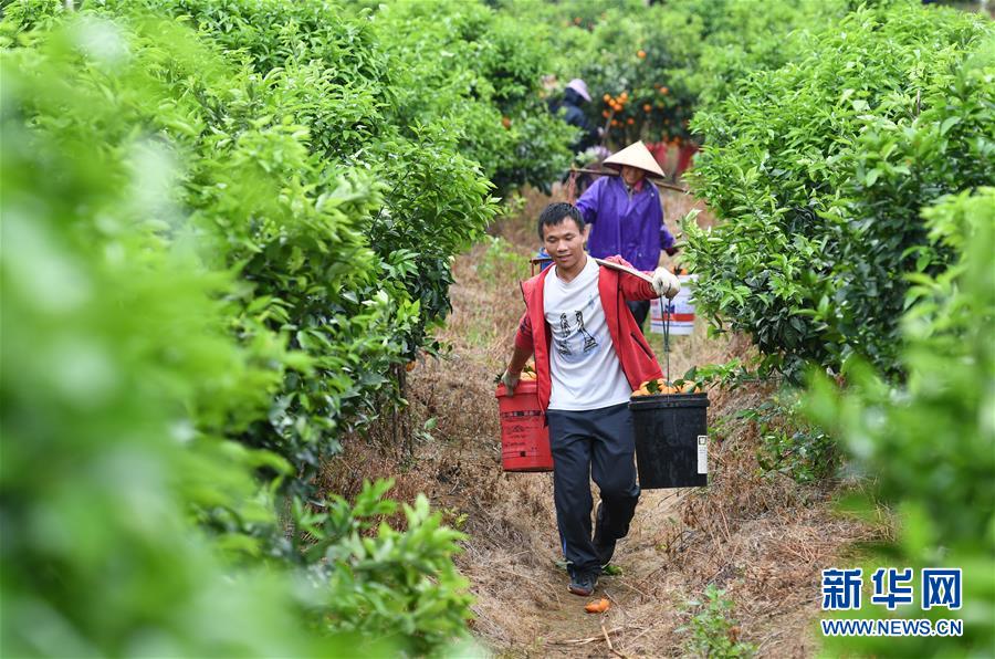 (新华全媒头条·图文互动)(10)在新时代党的阳光照耀下前进——习近平总书记关心关怀青年和青年工作纪实