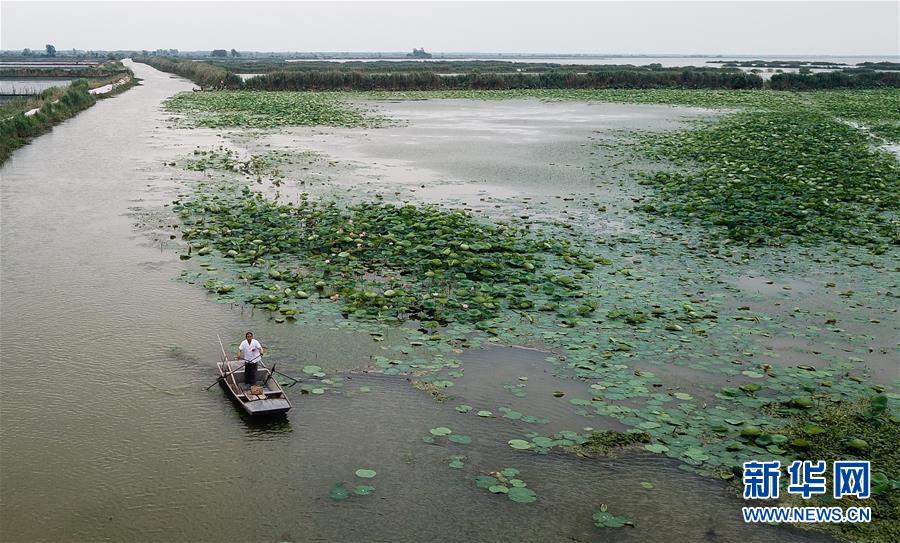 ͼƬ£12ˮҽʮ ̺õԱ