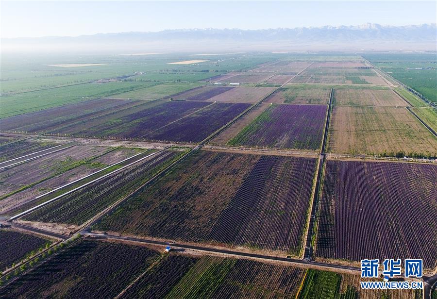 �����ã���7���½�޹�²ݿ���