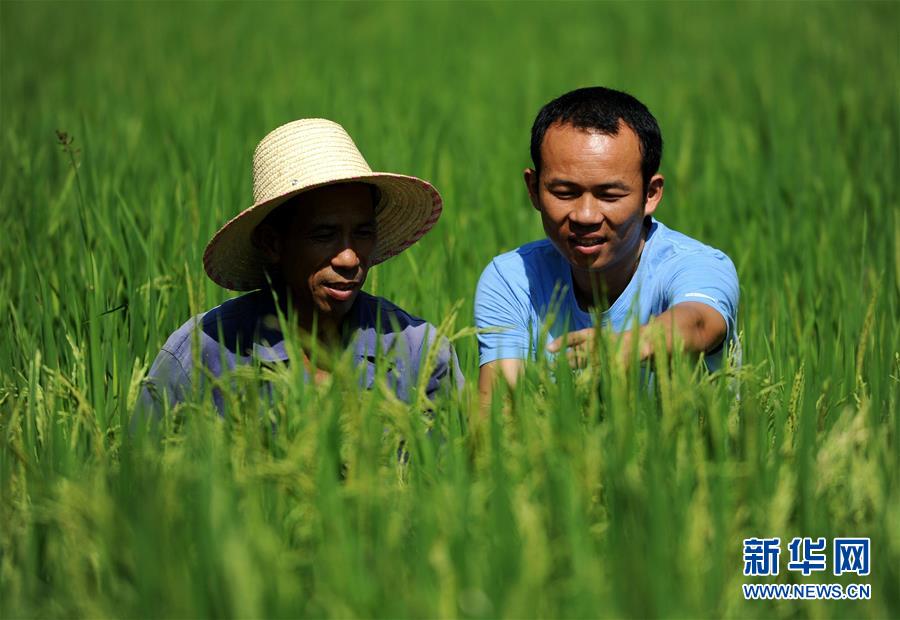 »ȫýͷͼĻ4ɫľޡ׸ʱй