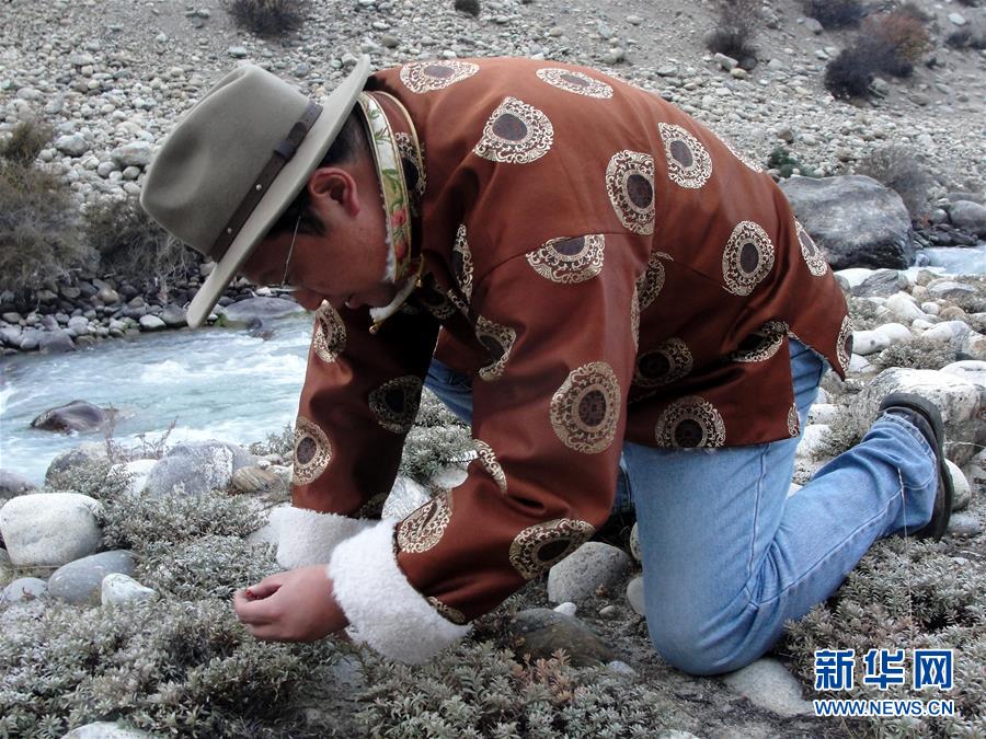 »ȫýͷͼĻ8ɫľޡ׸ʱй