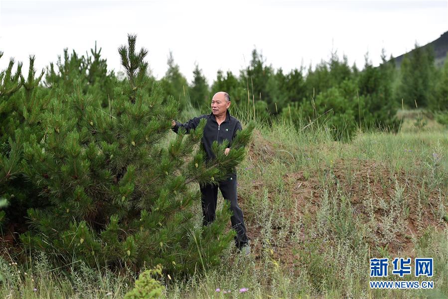 »ȫýͷͼĻ13ɫľޡ׸ʱй