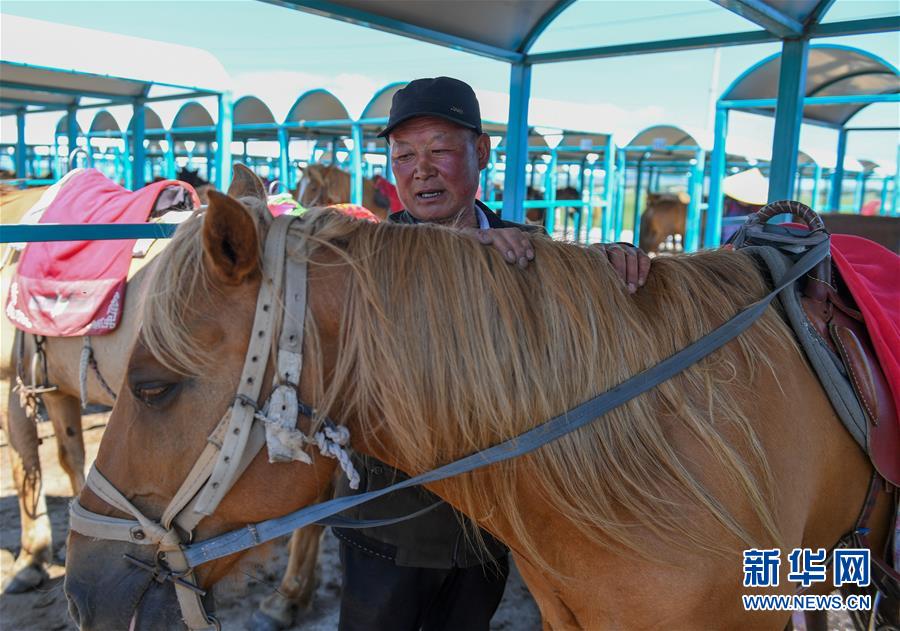 (社会)(5)养起“旅游马” 走上脱贫路