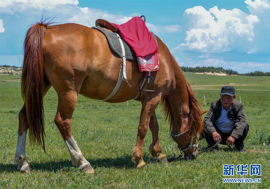 (社会)(7)养起“旅游马” 走上脱贫路