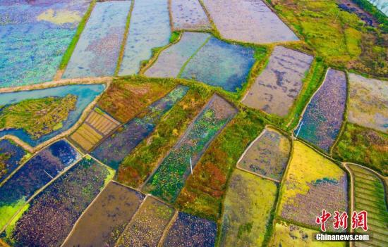 资料图:航拍农田。 李建平 摄