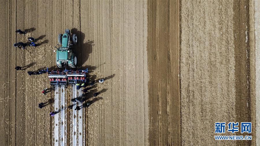 (社会)(9)情醉大美新疆