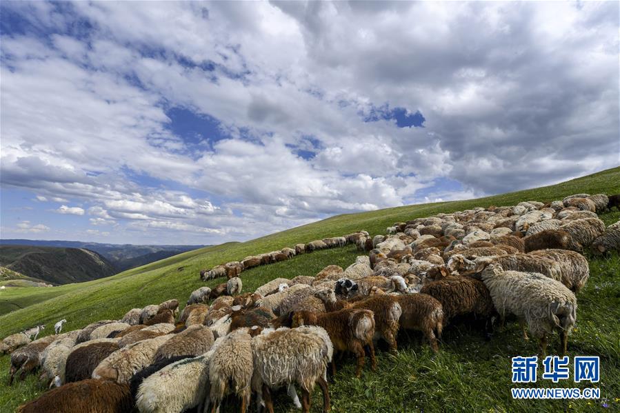 (社会)(10)情醉大美新疆