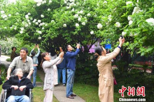 ����ͼ�������ڹ�԰�ͻ� ��¬��ΰ ��