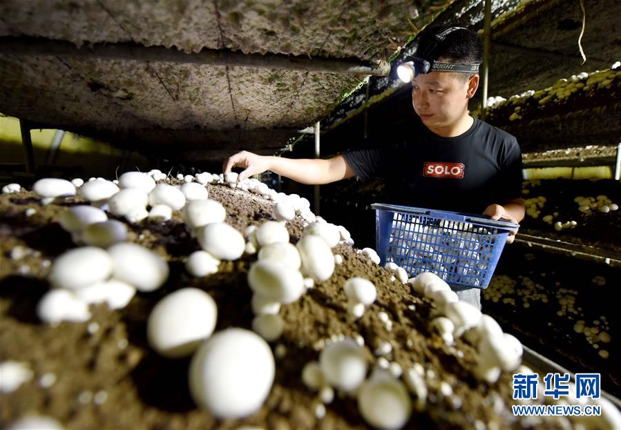 ͼƬ£4СĢֳҸ80󡱴ѧսǿ紴ҵ