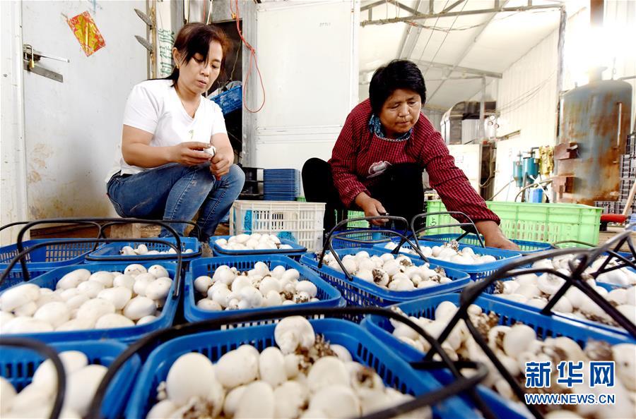 ͼƬ£6СĢֳҸ80󡱴ѧսǿ紴ҵ