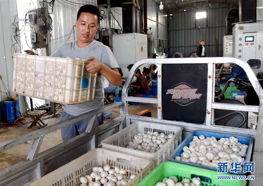 ͼƬ£7СĢֳҸ80󡱴ѧսǿ紴ҵ