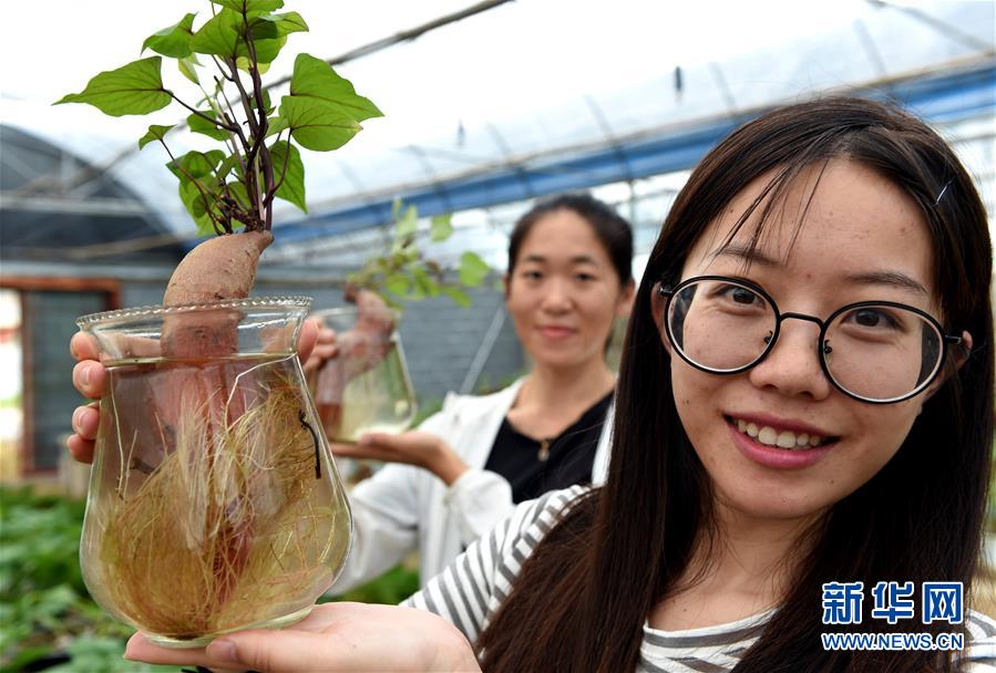 ����ᣩ��2���й��ع����⹫԰�������������