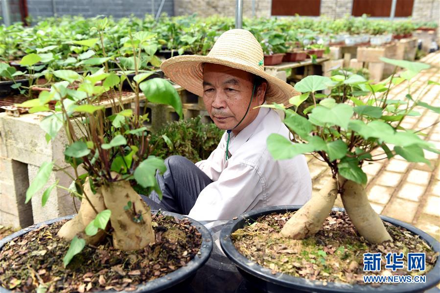 ����ᣩ��4���й��ع����⹫԰�������������