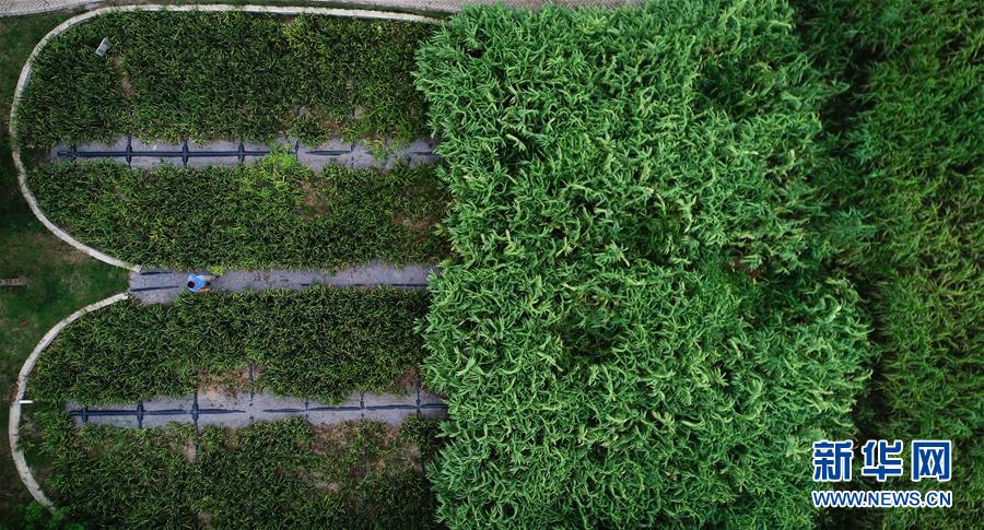 ϰƽʱйɫ˼ָ¡ʱΪƪ¡ͼĻ3ϡ棡ʪسй԰ȫƽũˮ