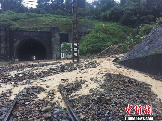 �����������ǿ�������廳��·�ж��г�