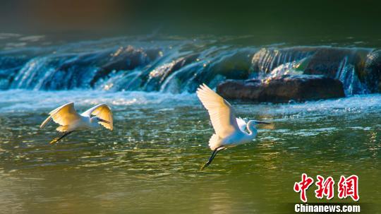 ����ͼ�������������̬�����ѣ�����������Ϣ�����ι��� ��