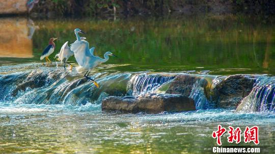 ����ͼ�������������̬�����ѣ�����������Ϣ�����ι��� ��