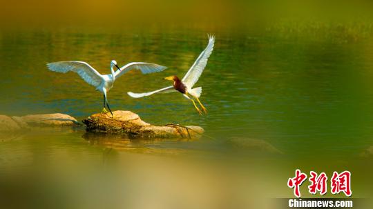 ����ͼ�������������̬�����ѣ�����������Ϣ�����ι��� ��