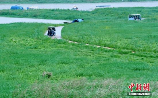 资料图:鄱阳湖雨季最美“水上公路”。 卓忠伟 摄