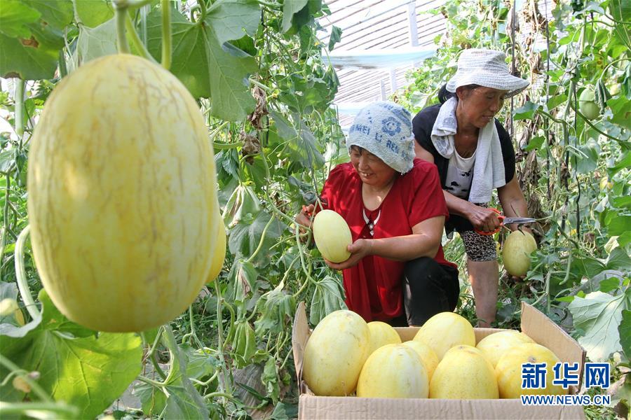 ã2ӱκأһһƷƾ׼ƶ