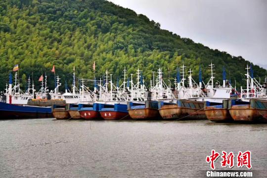 资料图:浙江奉化象山港 范宇斌 摄