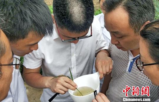 �������ˡ����ۿɱ�������������ӿɴ�������