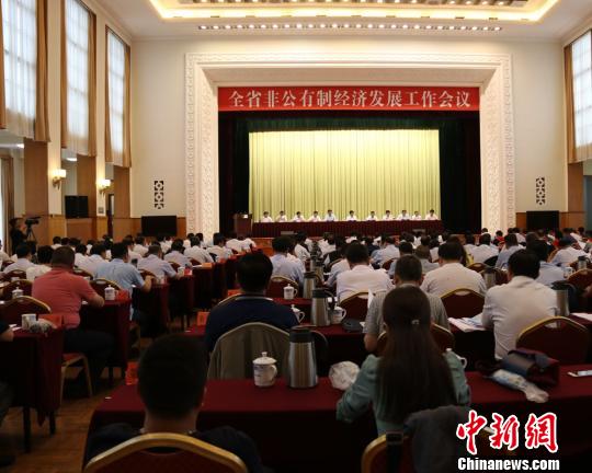 图为会议现场。 崔琳 摄