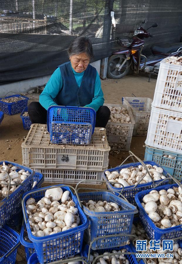 һߵĵ鱨桤ͼĻ4԰ƶ˶