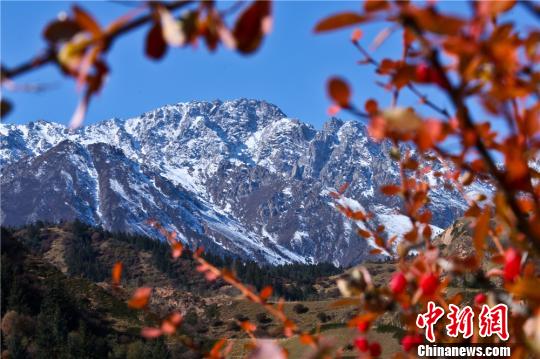 ���෢����Ⱦ���ι��ᡰ�嵥��ͻ������ɽ��̬����