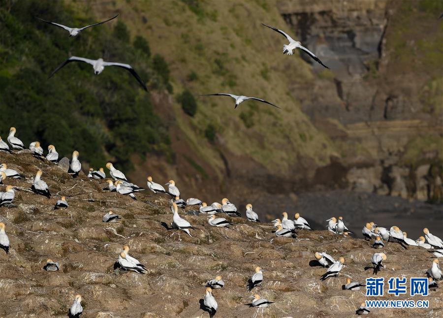 �����ʣ���2������ġ��������ڡ�