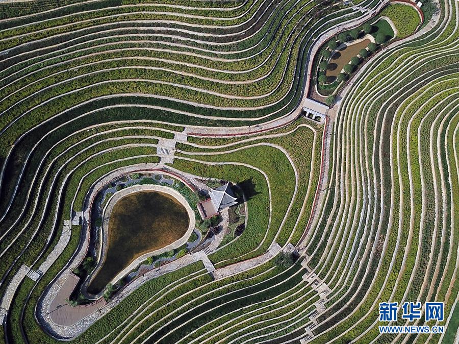 #����ᣩ��3�����ݴ󷽣������е���������