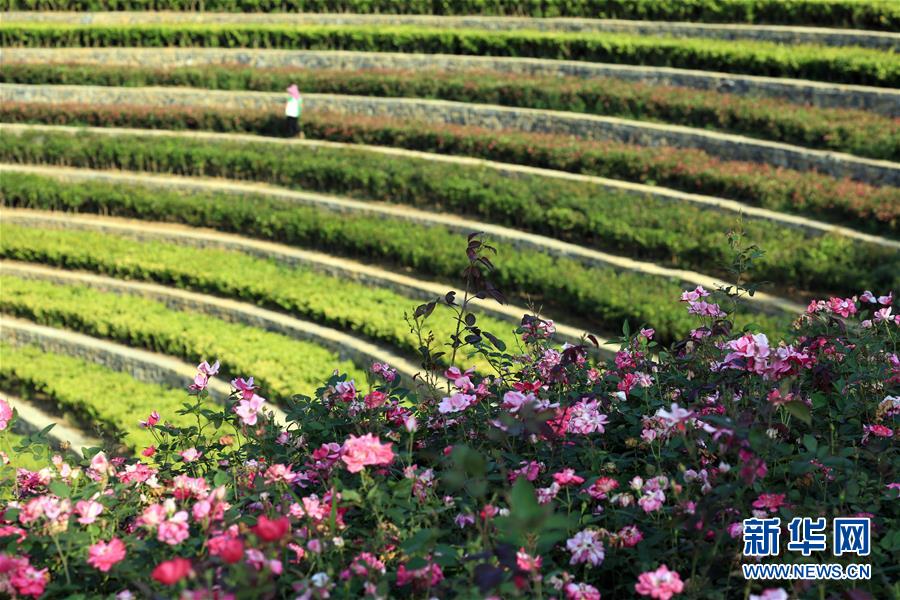 #����ᣩ��4�����ݴ󷽣������е���������