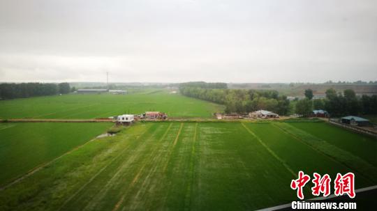 ͼΪ������·���߷羰��(��ѧ����)