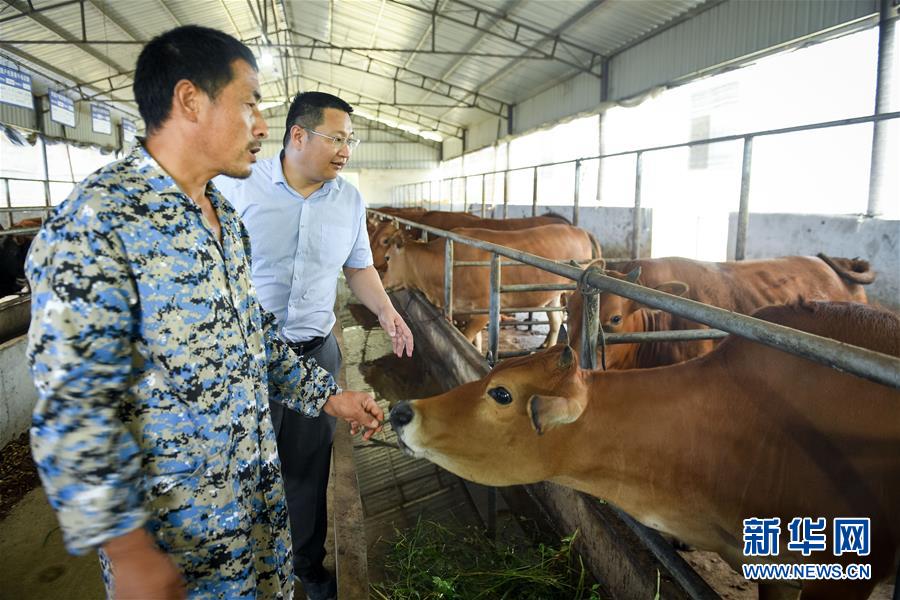 ƶᡤͼĻ2ηѡηηࡱǡ80󡱷ƶɲ