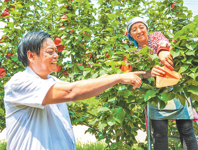 劳模风采·2015年全国劳模 | 刘宝国：带领村民种果树