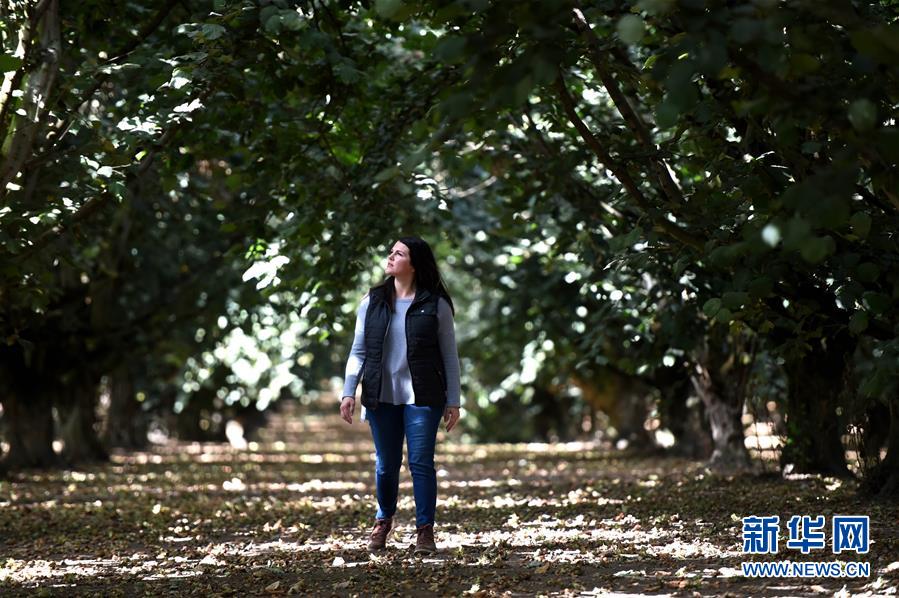 ʡͼĻ3ЩǶйгġ̽ոӹũ