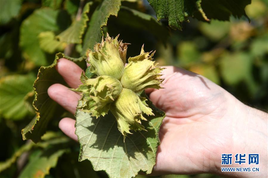 ʡͼĻ4ЩǶйгġ̽ոӹũ