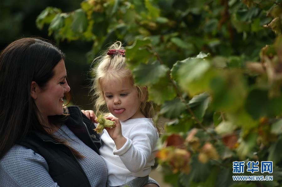 ʡͼĻ5ЩǶйгġ̽ոӹũ