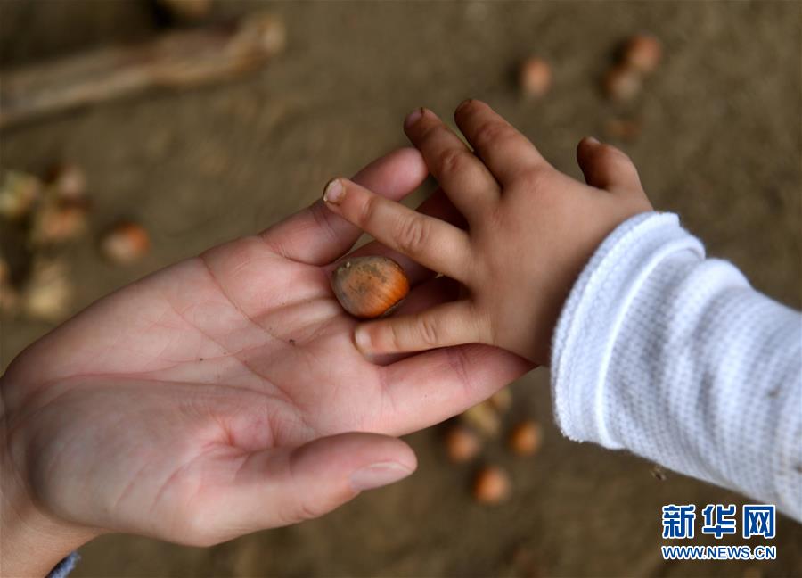 ʡͼĻ6ЩǶйгġ̽ոӹũ