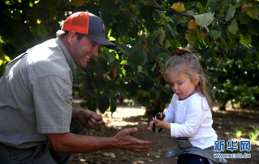 ʡͼĻ7ЩǶйгġ̽ոӹũ