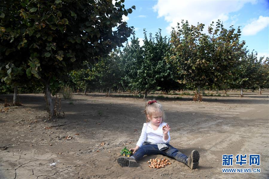 ʡͼĻ8ЩǶйгġ̽ոӹũ