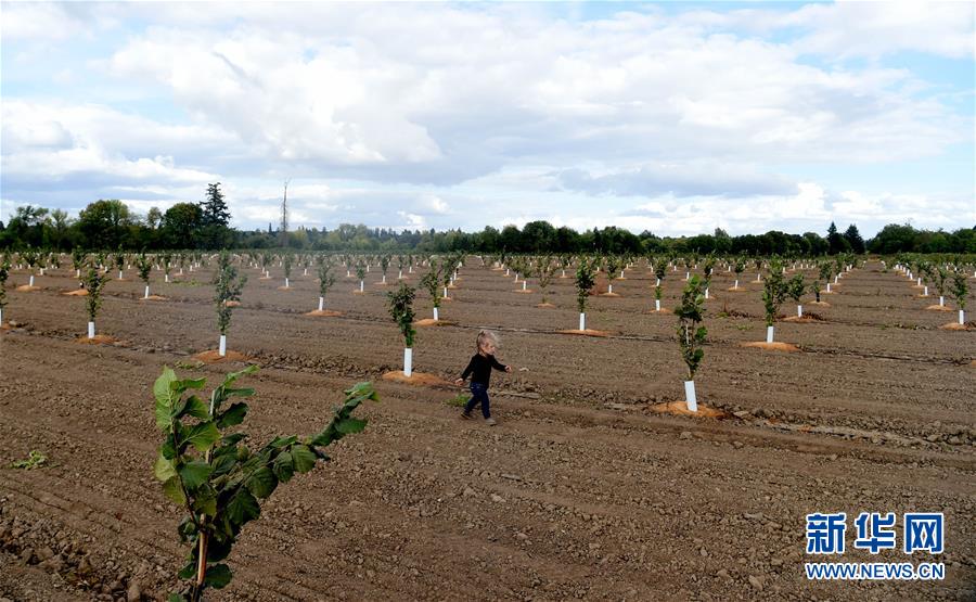 ʡͼĻ9ЩǶйгġ̽ոӹũ