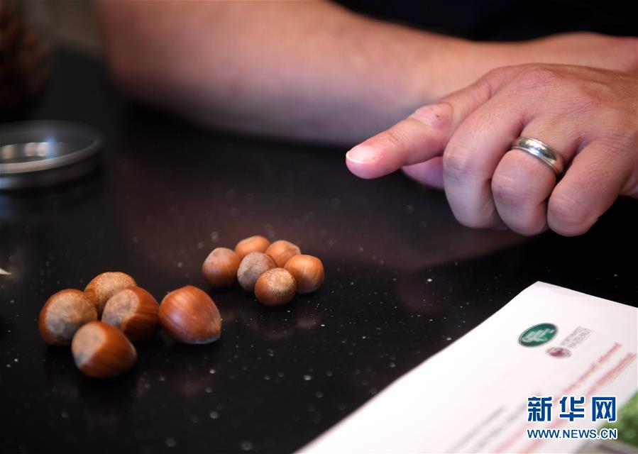 ʡͼĻ13ЩǶйгġ̽ոӹũ