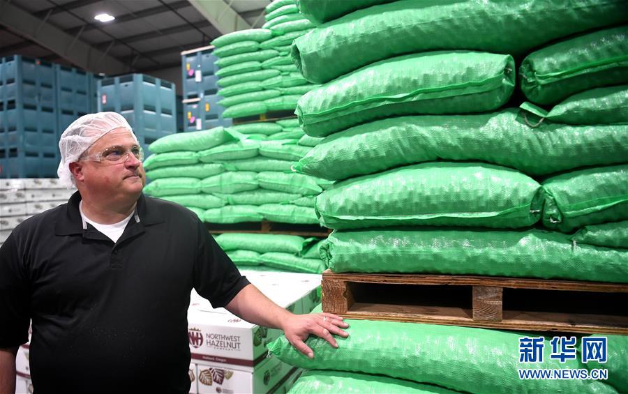 (国际·图文互动)(14)“这些树寄托着我们对中国市场的信心”——探访美俄勒冈州榛子果农