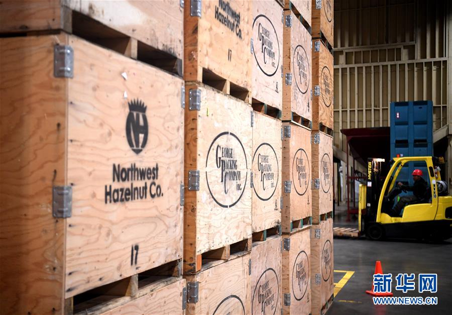 (国际·图文互动)(15)“这些树寄托着我们对中国市场的信心”——探访美俄勒冈州榛子果农