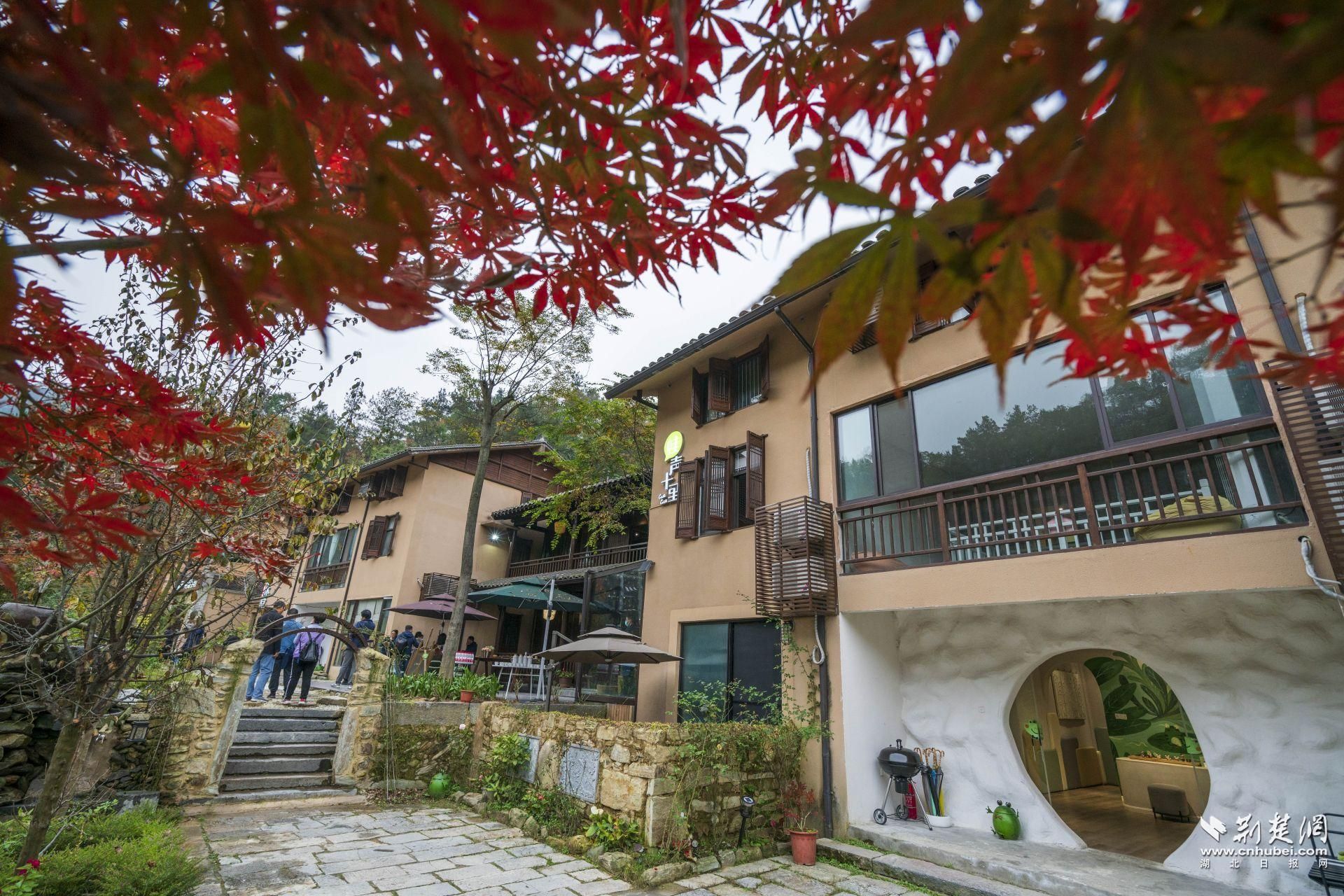 【文化扶贫在行动:湖北篇】桃源人家蛙声十里,茅箭这个民宿有文化味