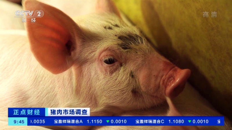 㽭𻪣һͷ׬2000Ԫ ۸ ֳҵЧ